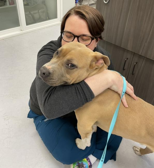 Puppy and dog care at Guardian Vet